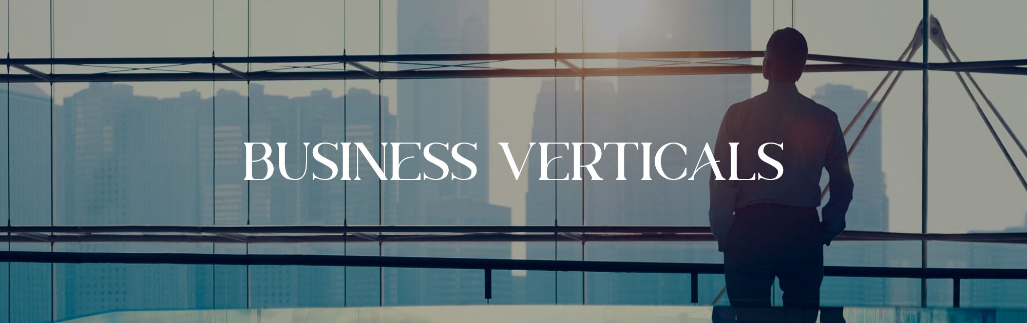 Business Verticals - Dosti Realty